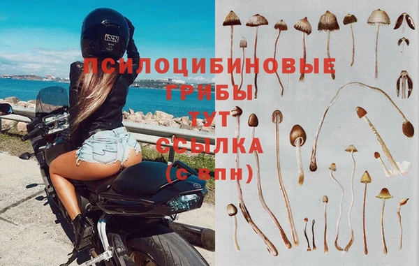 амф Осинники