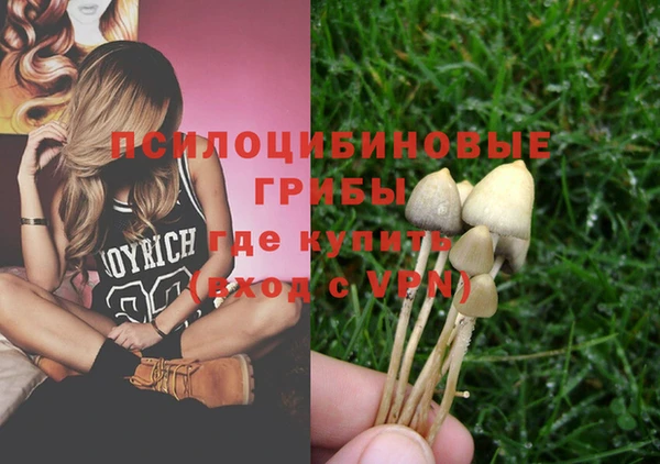 прущие грибы Остров