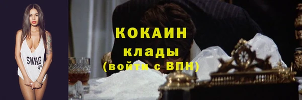 амф Осинники