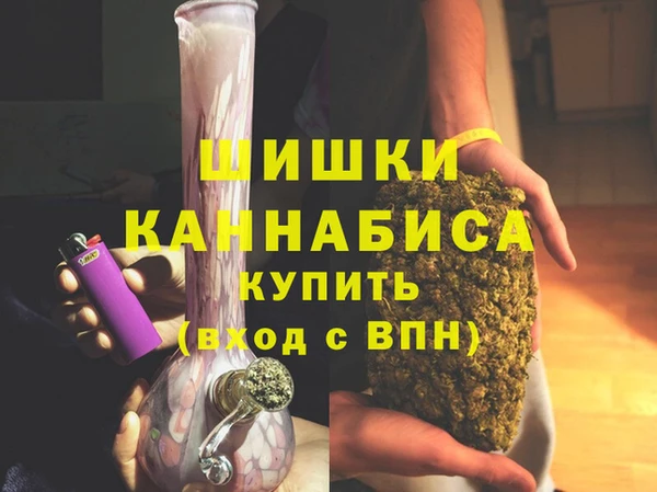 амф Няндома