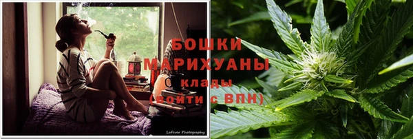 амф Осинники