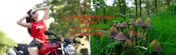 кокаин премиум Осташков