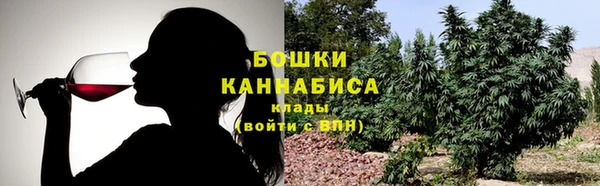 амф Осинники