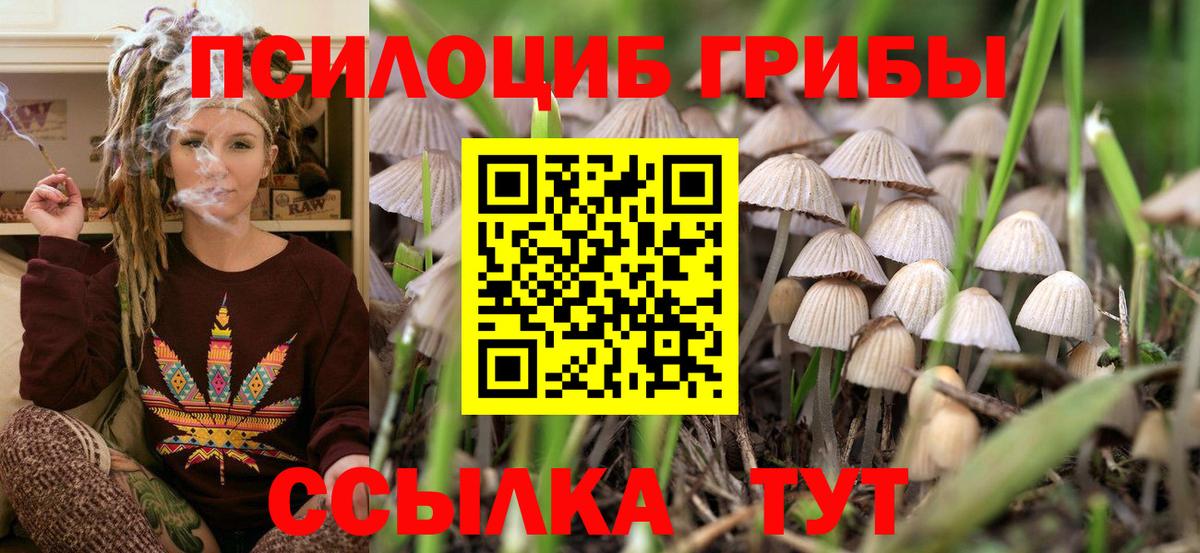 как найти наркотики  Вход с VPN  Магадан  Галлюциногенные грибы мухоморы 