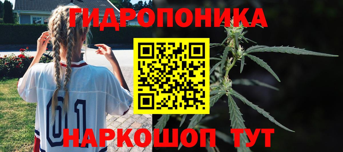 Канабис Amnesia  Конопля семена  Марихуана Bruce Banner  Шишки марихуана OG Kush  Вход с VPN  Магадан 
